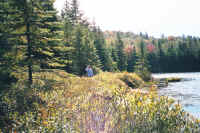 928Spruce10.jpg (678049 bytes)