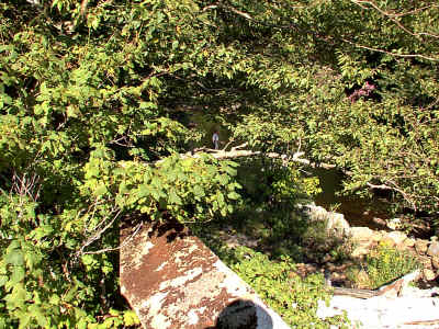 CLDam5.JPG (257861 bytes)
