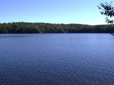 Sampson3.JPG (251413 bytes)