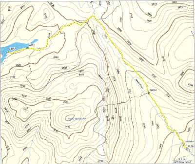 bmm33.jpg (315092 bytes)