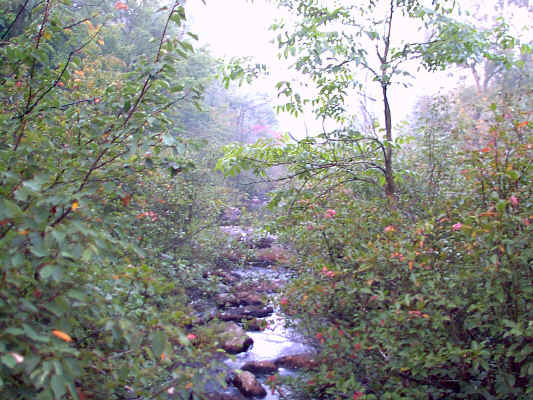 IMAGE003.JPG (253904 bytes)