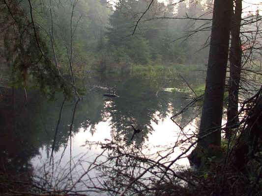 IMAGE004.JPG (253209 bytes)