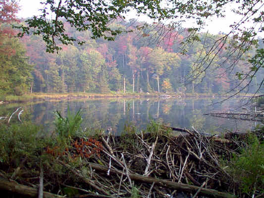 IMAGE006.JPG (254651 bytes)