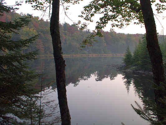 IMAGE008.JPG (246785 bytes)