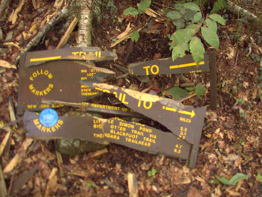 IMAGE014.JPG (248107 bytes)