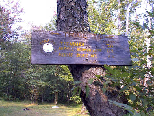 IMAGE026.JPG (260401 bytes)