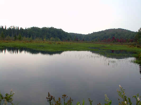 IMAGE030.JPG (242733 bytes)