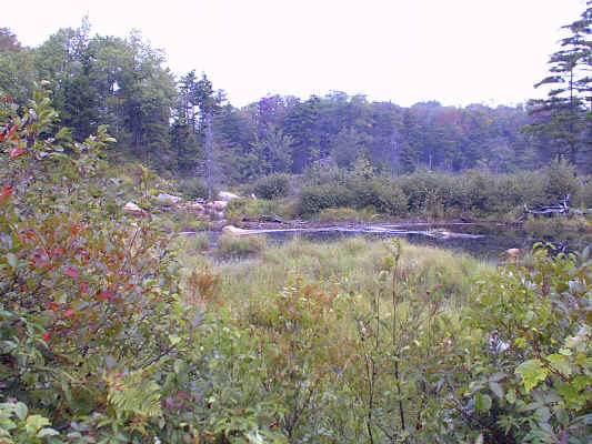 IMAGE031.JPG (261947 bytes)