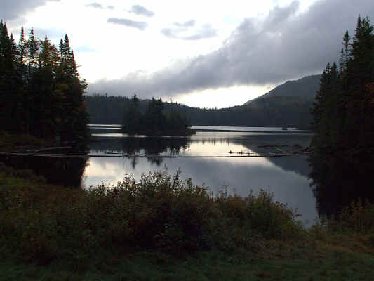 IMAGE008.JPG (243389 bytes)
