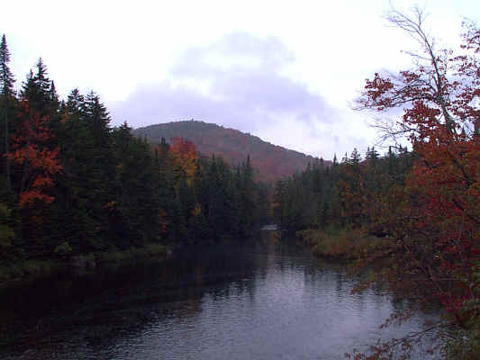 IMAGE014.JPG (251944 bytes)