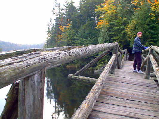 IMAGE020.JPG (260695 bytes)