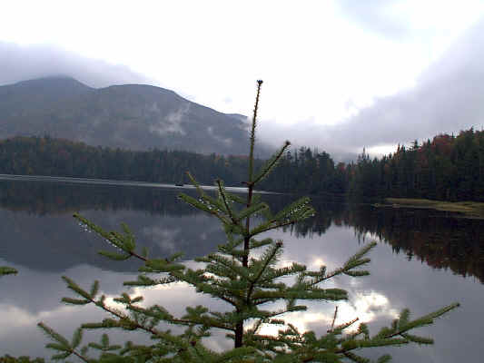 IMAGE024.JPG (248583 bytes)
