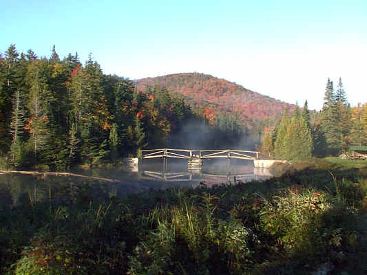 IMAGE032.JPG (246491 bytes)