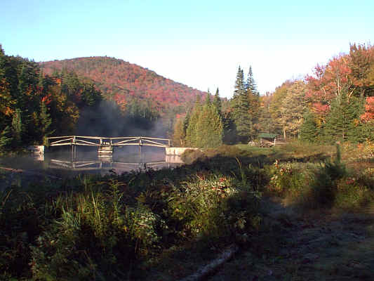 IMAGE033.JPG (255275 bytes)