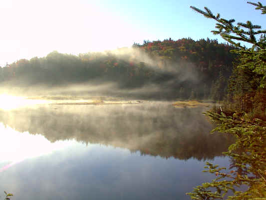 IMAGE034.JPG (244839 bytes)