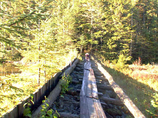 IMAGE036.JPG (254083 bytes)