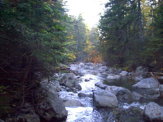 IMAGE042.JPG (252686 bytes)