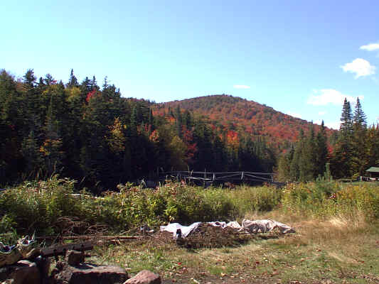 IMAGE044.JPG (254907 bytes)