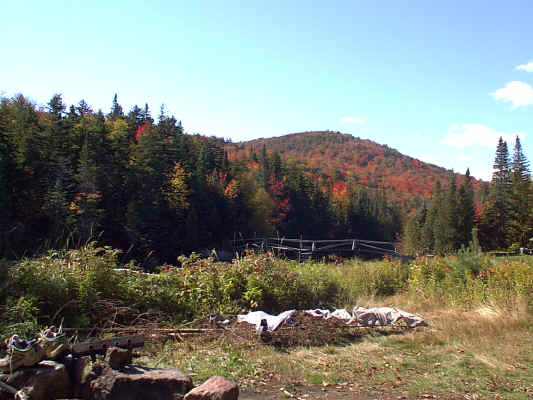 IMAGE045.JPG (251284 bytes)