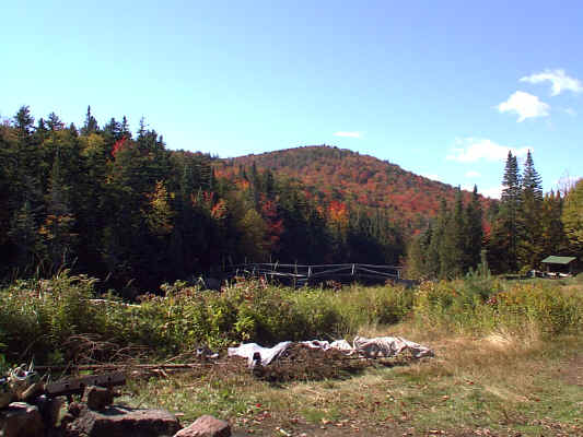 IMAGE046.JPG (255805 bytes)