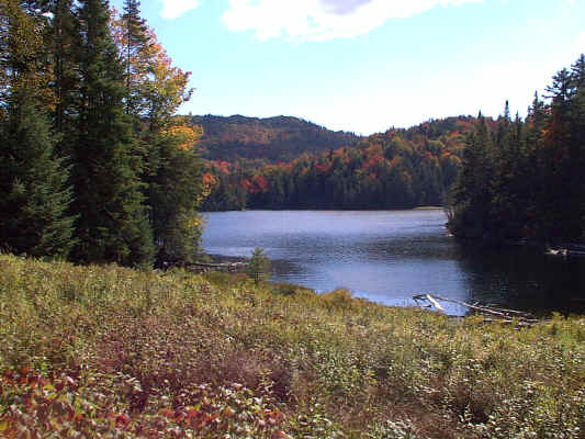 IMAGE047.JPG (259381 bytes)