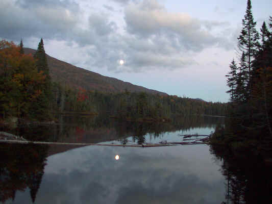 IMAGE059.JPG (254586 bytes)
