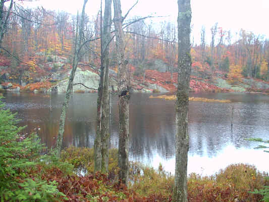 IMAGE006.JPG (257427 bytes)