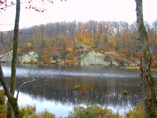 IMAGE007.JPG (257595 bytes)