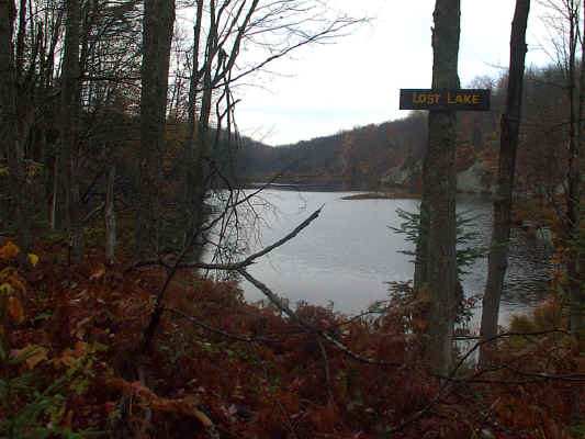 IMAGE008.JPG (258296 bytes)