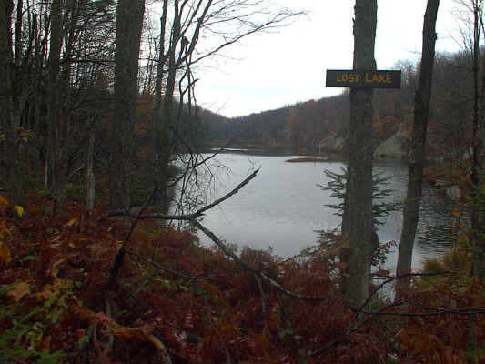 IMAGE009.JPG (246303 bytes)