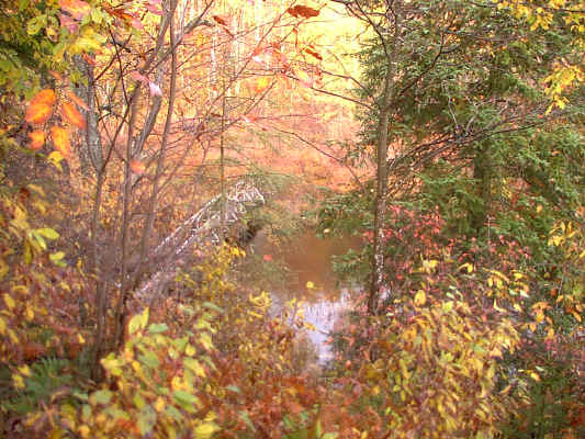 IMAGE011.JPG (256048 bytes)