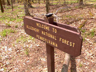Border4.JPG (258308 bytes)