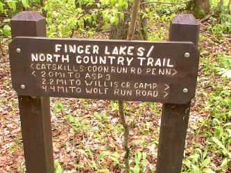 CoonRunRoad.JPG (255370 bytes)
