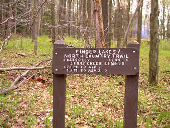 LTSC4.JPG (256796 bytes)