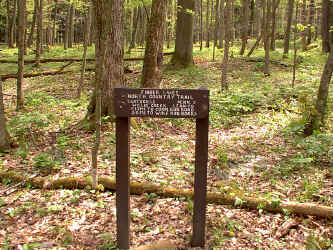 LTWC1.JPG (260931 bytes)