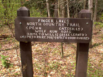 WolfRunRoad.JPG (256766 bytes)