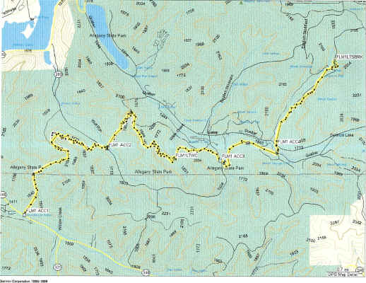 FLM1-1.jpg (665986 bytes)