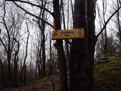 DSC00134.JPG (82538 bytes)