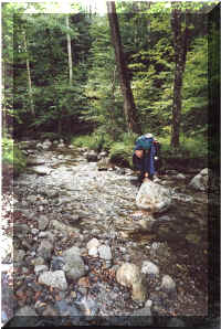 creek1.jpg (89590 bytes)