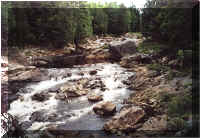 moosecreek4.jpg (83854 bytes)