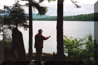 Spruce_fish.jpg (378455 bytes)