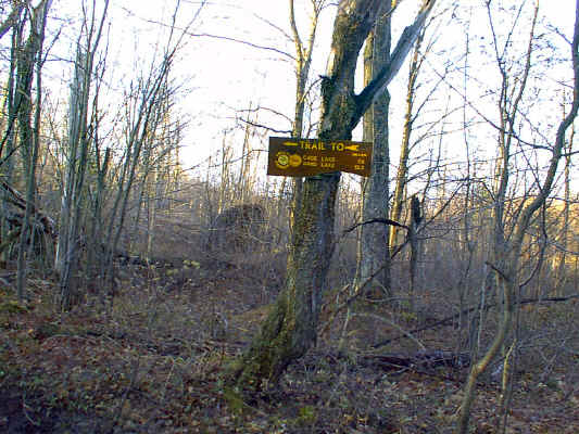 03trailjct.JPG (265856 bytes)