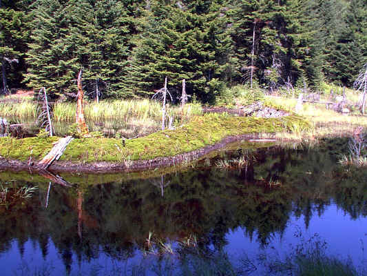 IMAGE013.JPG (251593 bytes)