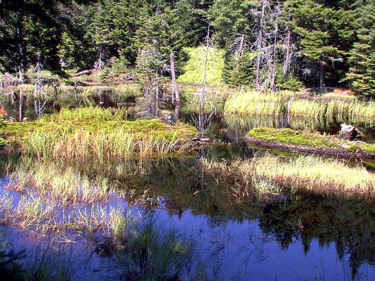 IMAGE014.JPG (258098 bytes)
