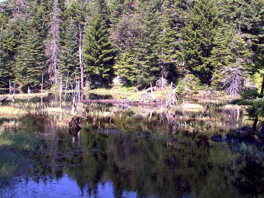 IMAGE015.JPG (261987 bytes)