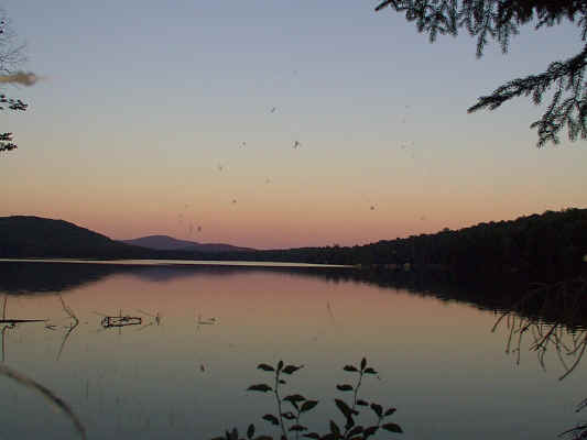 IMAGE021.JPG (233359 bytes)