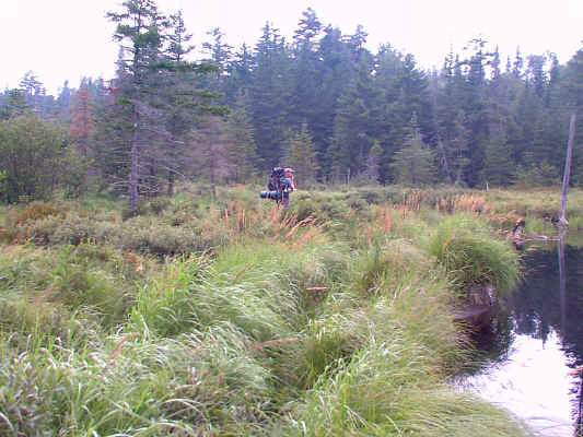 IMAGE035.JPG (253446 bytes)