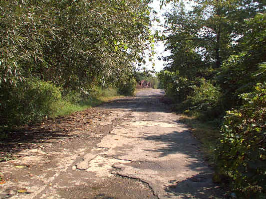 IMAGE001.JPG (252065 bytes)