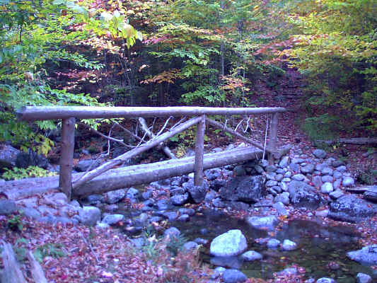 IMAGE001.JPG (252865 bytes)
