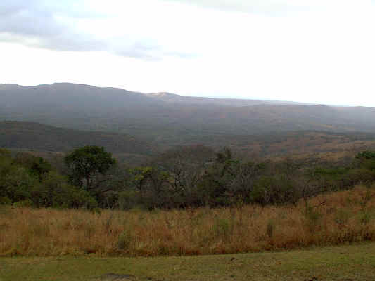301hlu.JPG (252289 bytes)
